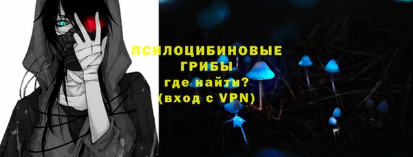 твердый Армянск