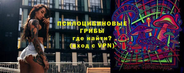 твердый Армянск