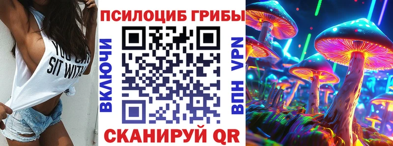 Галлюциногенные грибы Psilocybe  наркошоп  Аша 