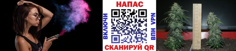Каннабис OG Kush  купить   ссылка на мегу зеркало  Аша 